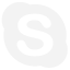 skype contact